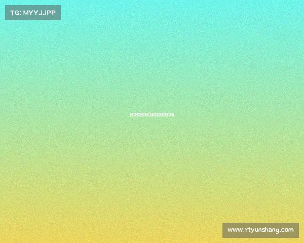 新西兰篮球赛事(新西兰篮球职业联赛)